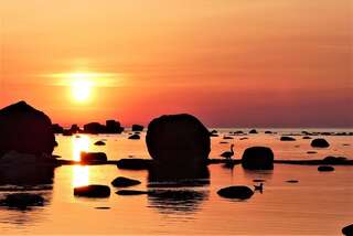 Хостелы Meriküla Spordi- ja Õppekeskus Muraste-2